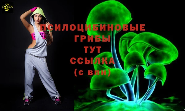 прущие грибы Бородино