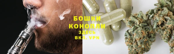 прущие грибы Бородино