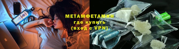 прущие грибы Бородино
