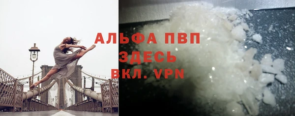твердый Сосновый Бор