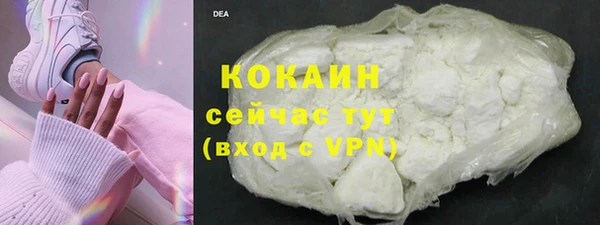 PSILOCYBIN Богданович
