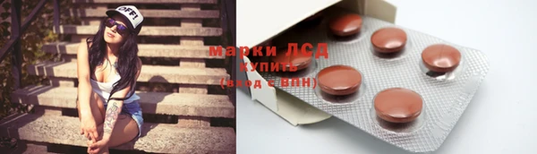 прущие грибы Бородино