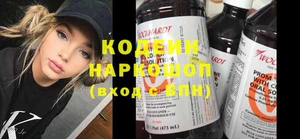 прущие грибы Бородино