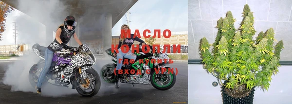 прущие грибы Бородино
