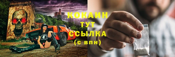 СК Бронницы