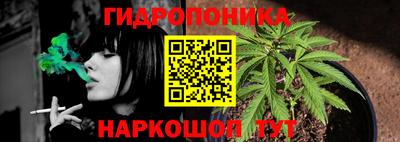 дмт Волжск