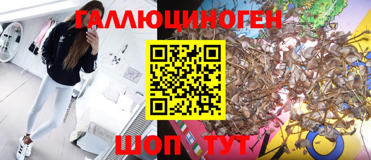 COCAIN  Конопля  Меф кристаллы  Вход с VPN  Выборг  ГАШИШ  Кокаин  Гашиш  Героин 