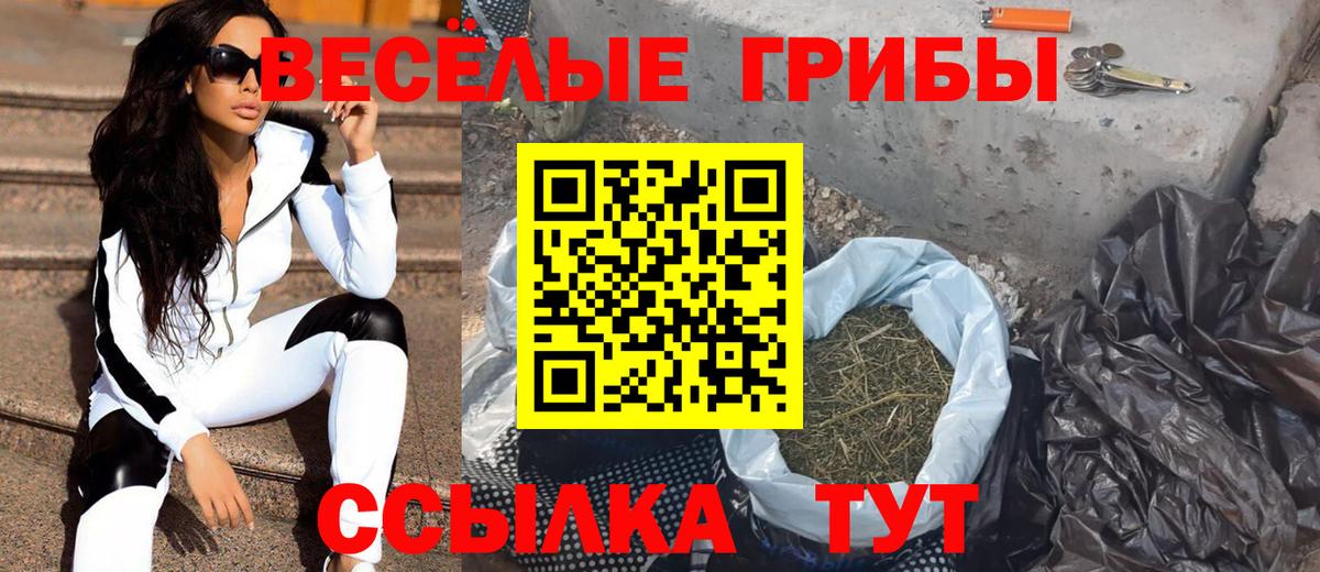 Галлюциногенные грибы Magic Shrooms  Галлюциногенные грибы Psilocybine cubensis  Вход с VPN  Выборг 